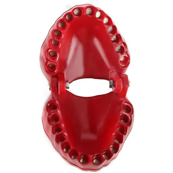 🧰Denture Drill Bit Holder🧰