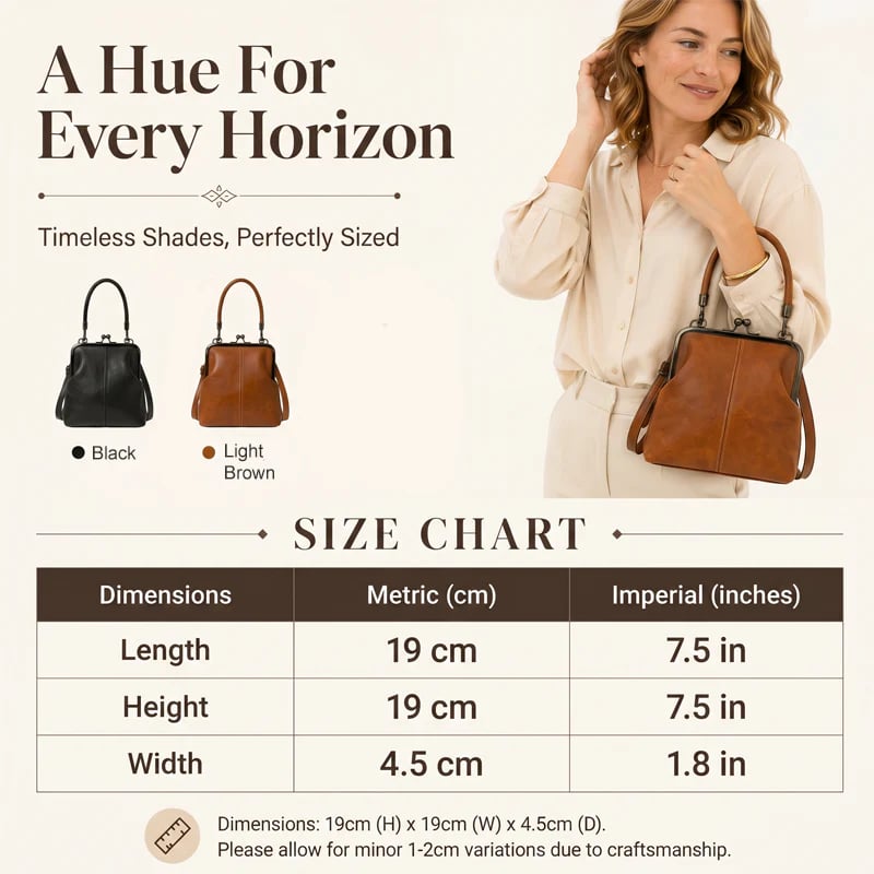 🔥 HOT SALE 🔥Vintage Kiss-Lock Bag – 2-in-1 Carry & Organized