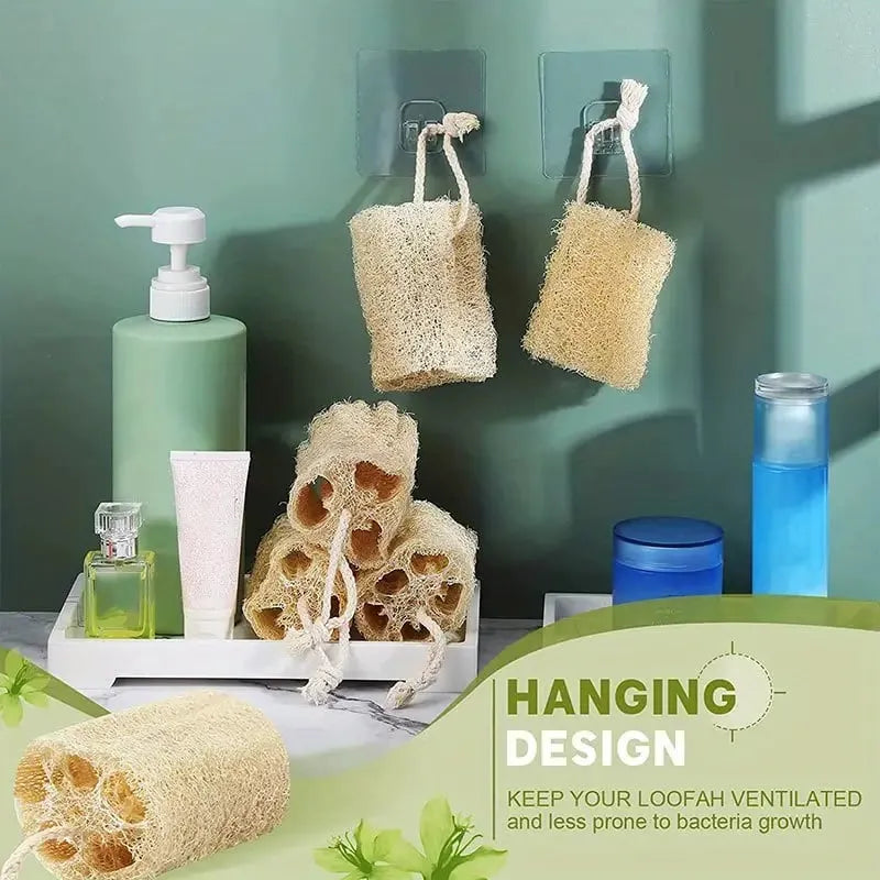 (New Year Hot Sale) Natural Loofah Sponge