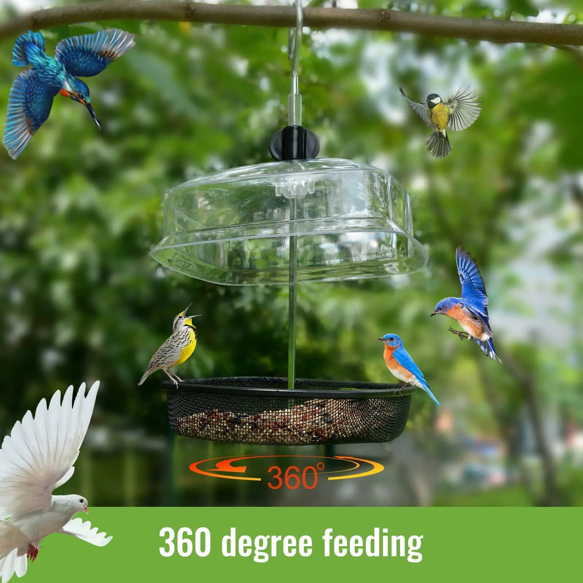 ⚡️FLASH SALE 49% OFF - Hanging Wild Bird Feeder Station