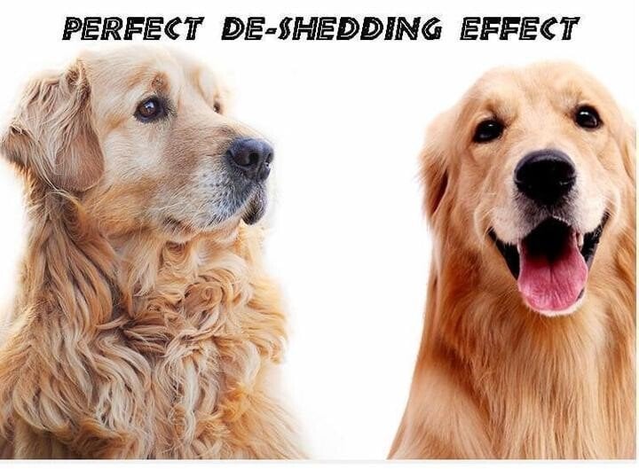 Pet Safe Dematting Comb🎁New Year Sale🎁