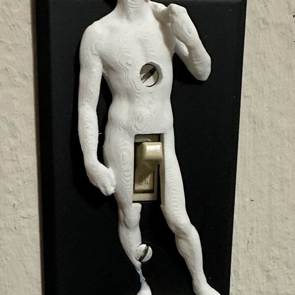 Funny Light Switch Cover - David Sculpture Switch Plate, Exquisite Humor