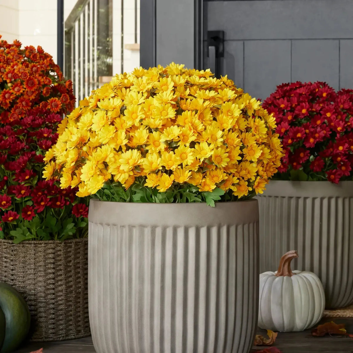 Artificial Outdoor Sunset Mums Flowers-UV resistant, Waterproof, Windproof