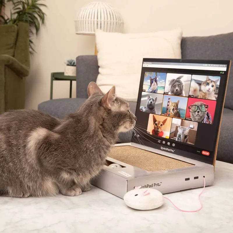 🔥HOT SALE🔥ScratchPad Pro Cardboard Laptop Cat Scratcher | Funny & Functional Cat Toy for Indoor Cats