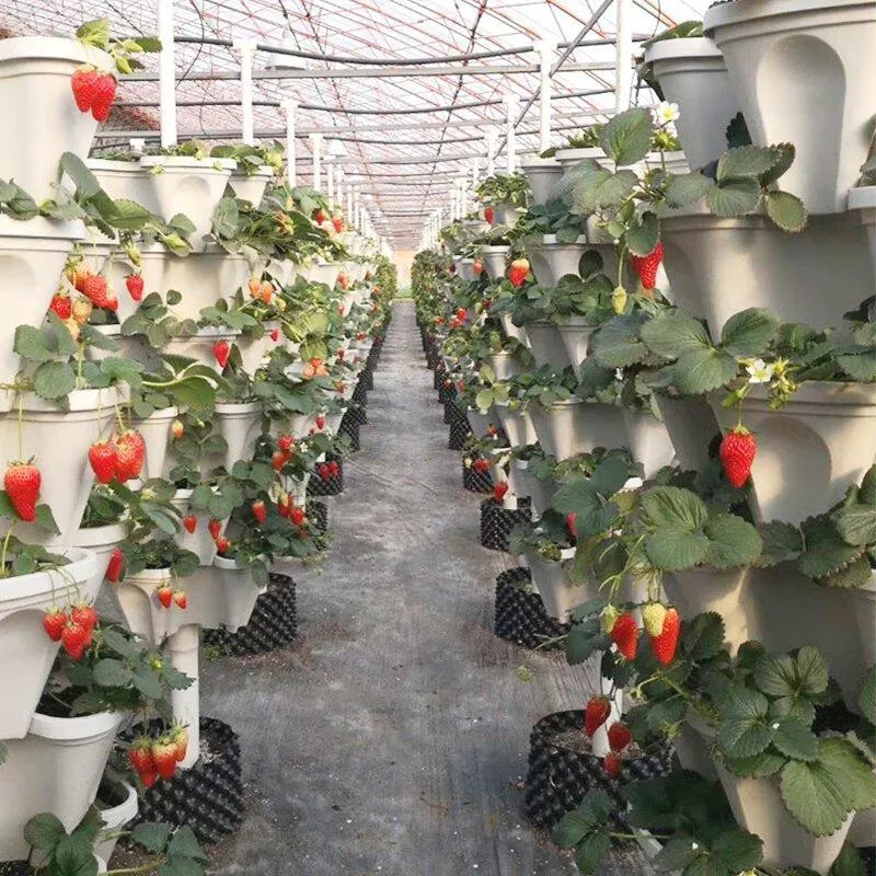 Stackable planters