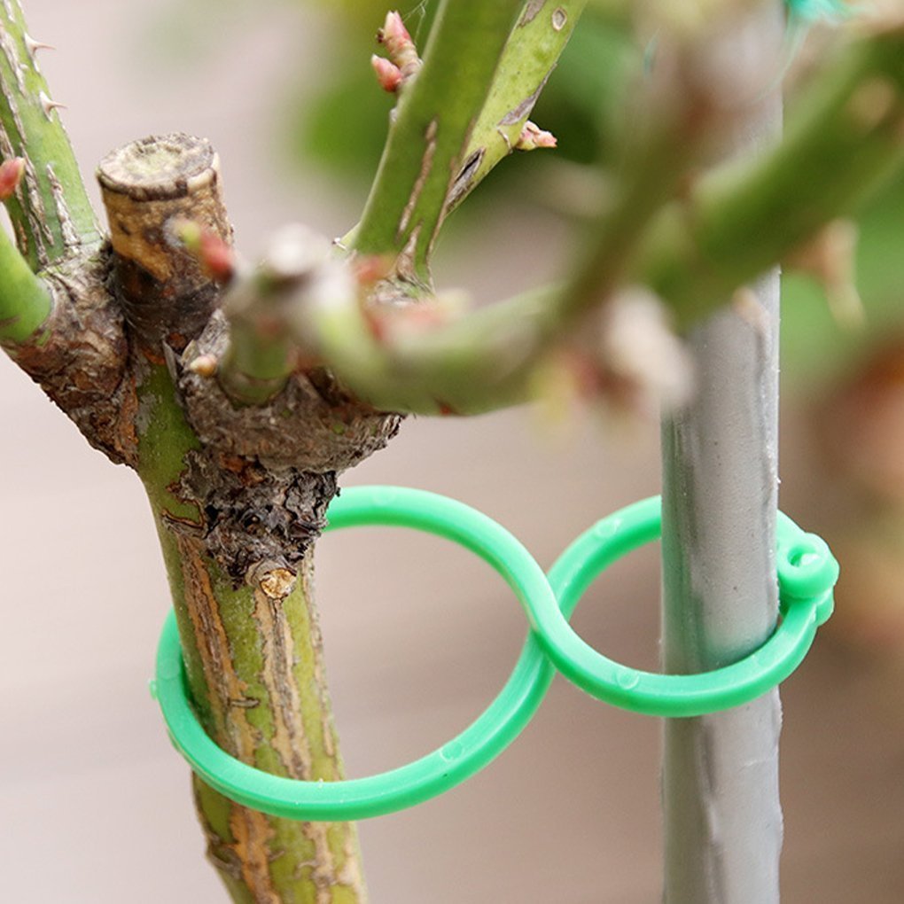 Garden Plant Holder