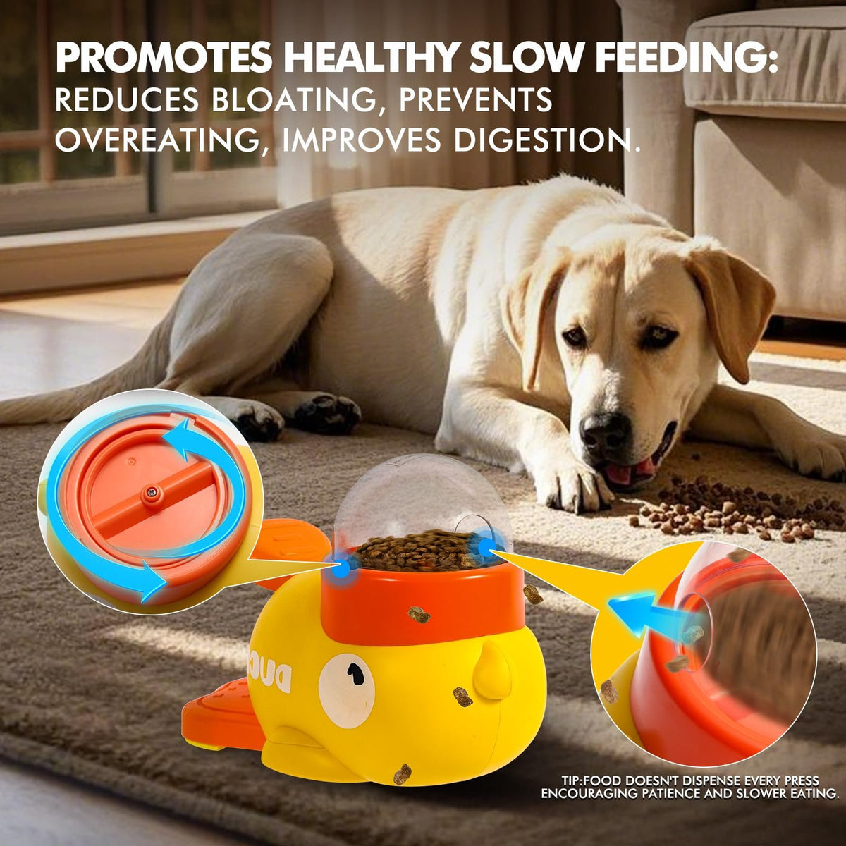 Dog Puzzle Feeder Toy