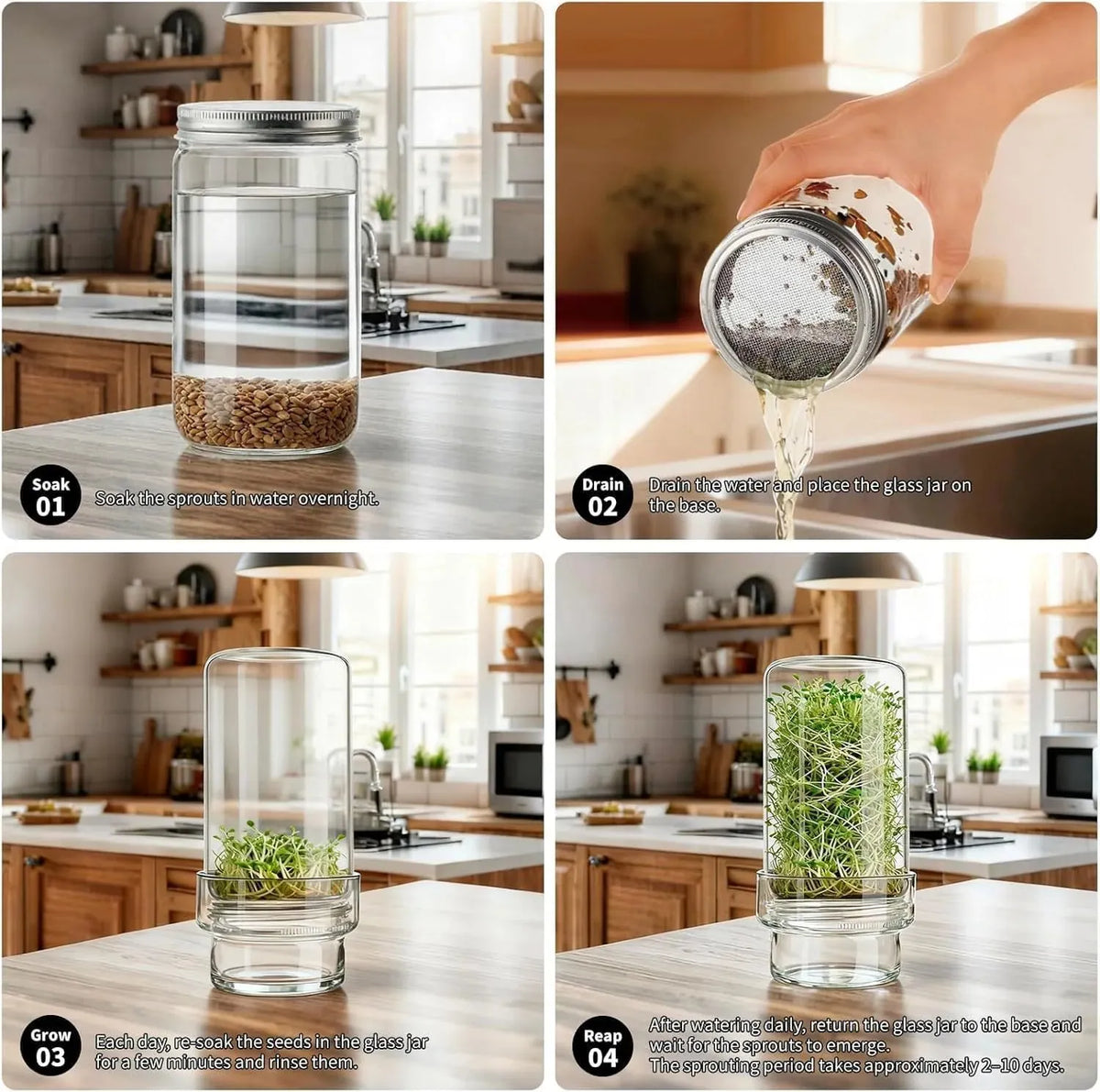 🔥HOT SALE🔥🌱 Upgraded Sprouting Jar Kit – Fresh Healthy Sprouts in Days ✨