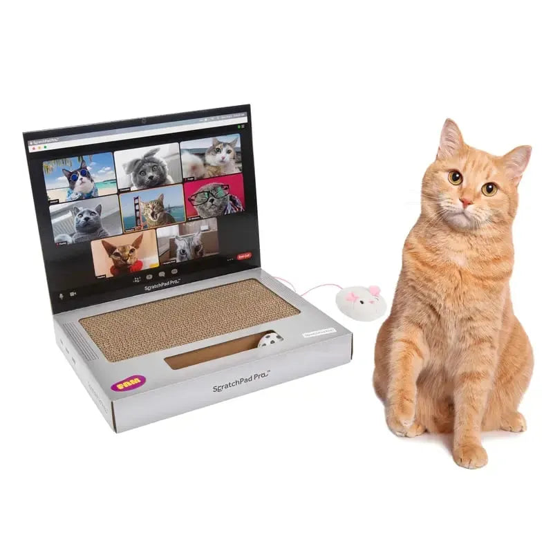 🔥HOT SALE🔥ScratchPad Pro Cardboard Laptop Cat Scratcher | Funny & Functional Cat Toy for Indoor Cats