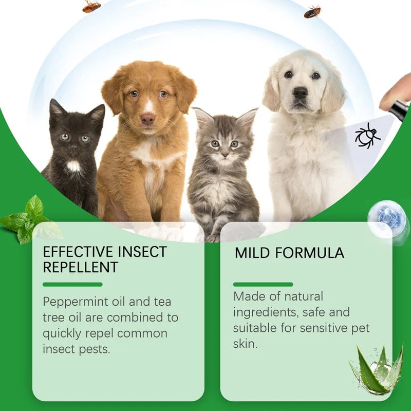 🔥HOT SALE🔥🍃Natural Flea & Tick Foam for Dogs and Cats🐾 Keep Your Beloved Pet Free from Pests