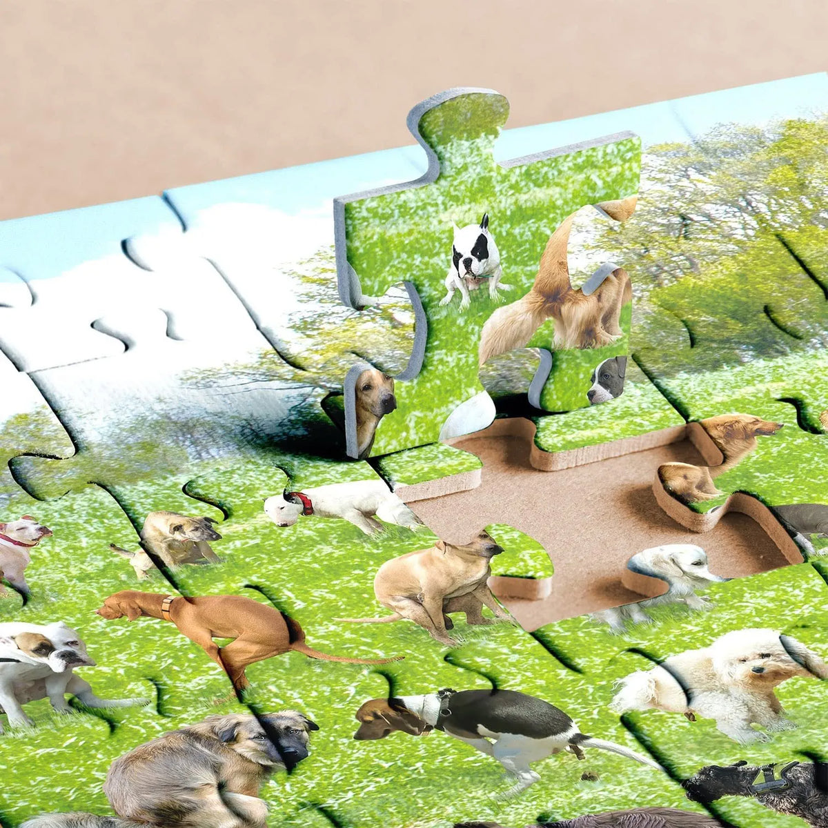 Pooping Dog Jigsaw Puzzle 1000 Piece🐶🐕