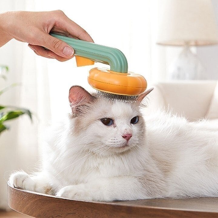 NEW YEAR HOT SALE 40% OFF-Pumpkin Pet Grooming Tool Pet Remove Hair Brush