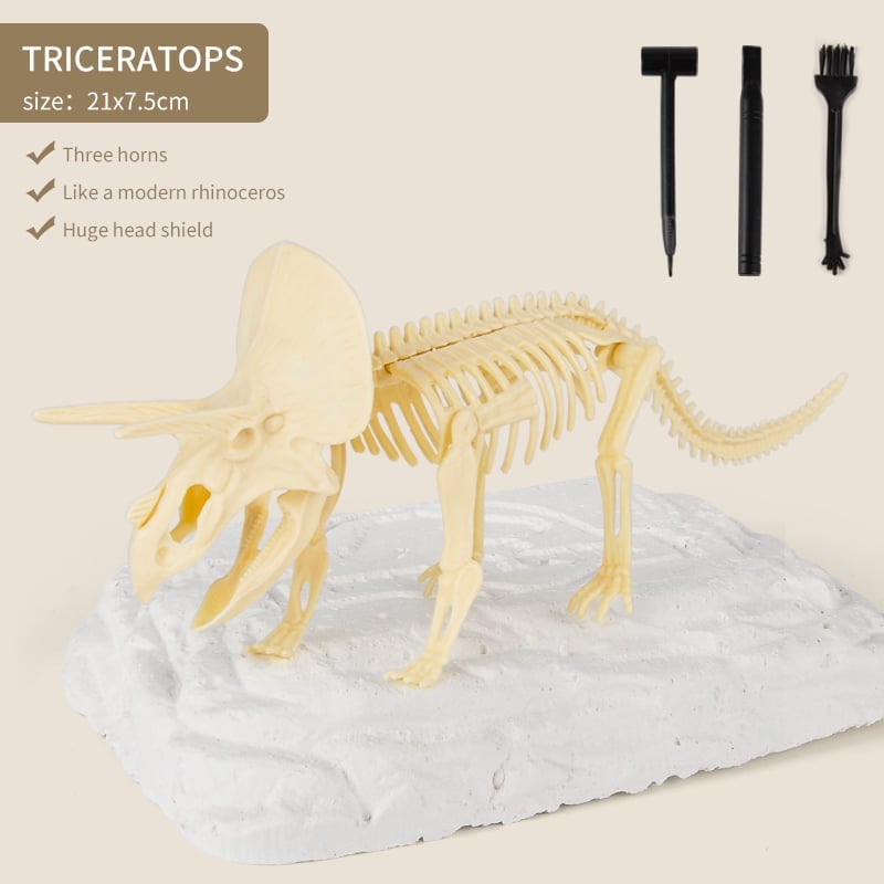 Great Educational Toy for Kids🎁New Arrival Dinosaur Fossil Digging Kit