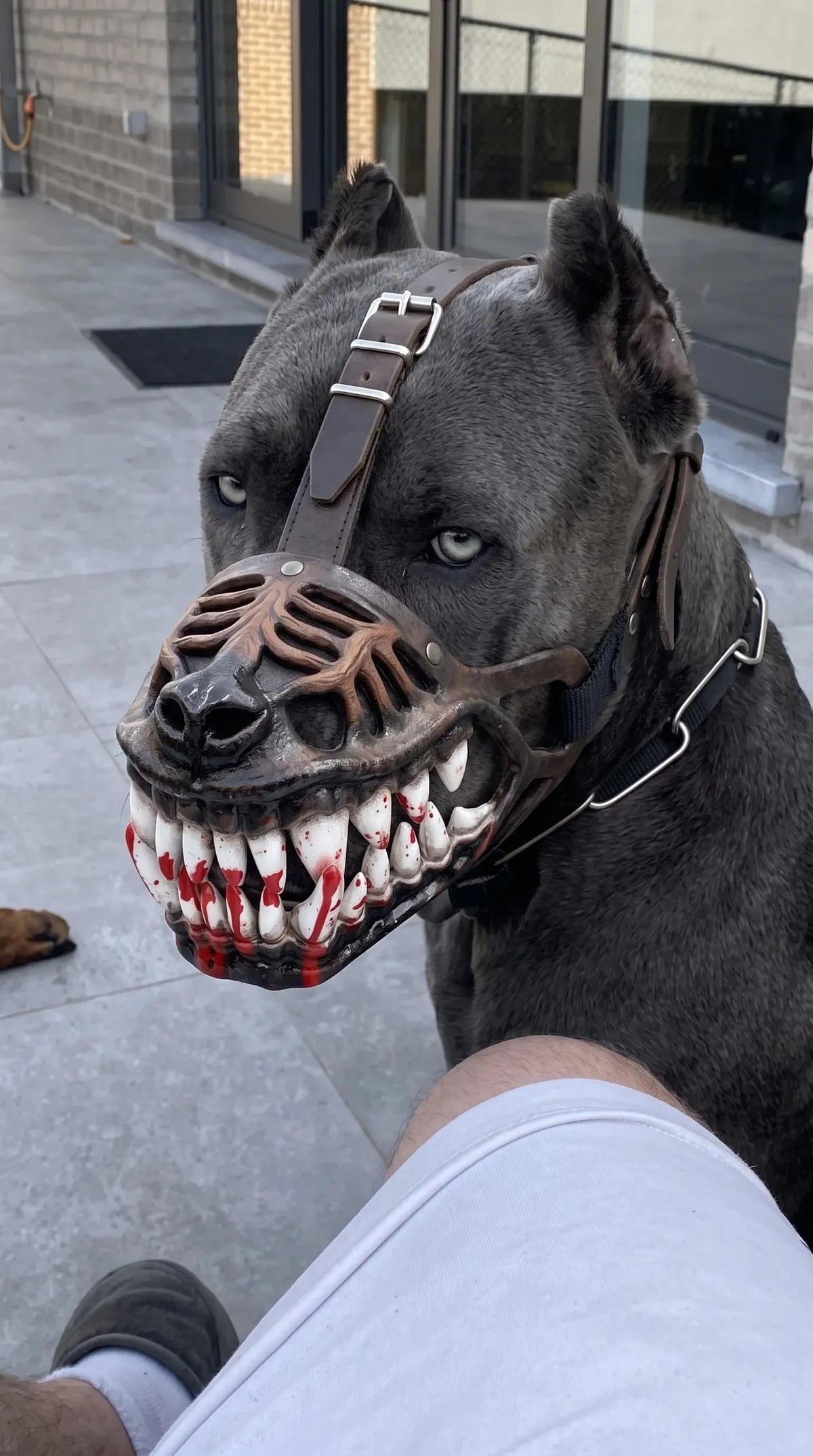 🎉🎃 EARLY HALLOWEEN 49% OFF🔥🐶Hell Hound Monster Muzzle