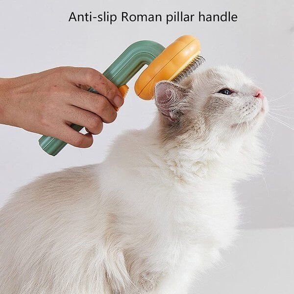 🎉Get 49% OFF🐈Pumpkin Pet Comb