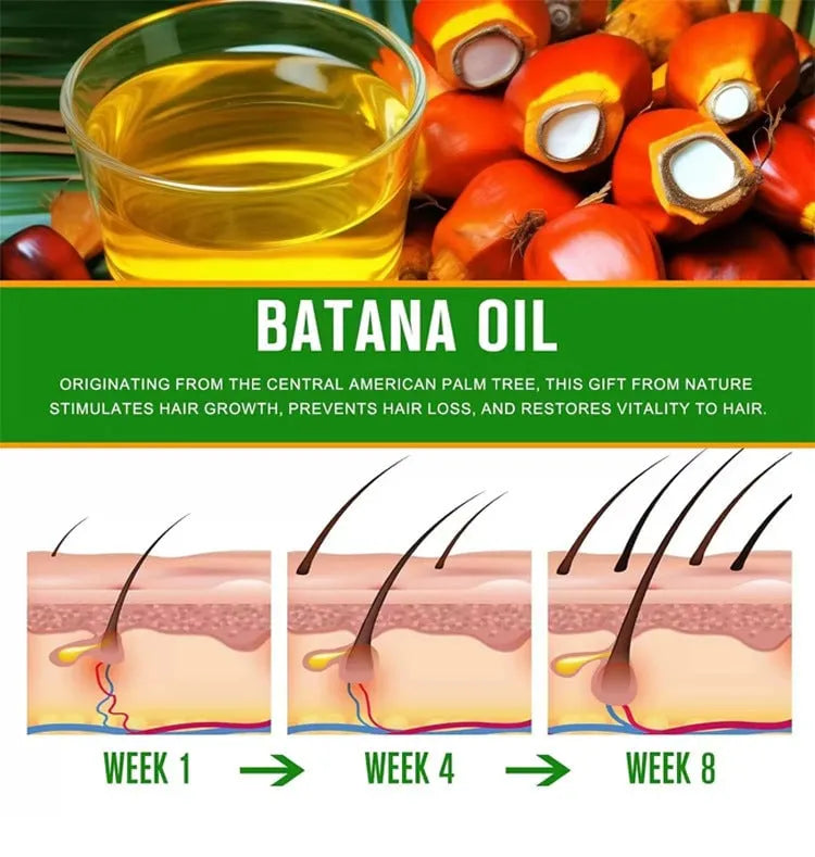 💯[Official Brand Store]- 🌿Natural Herbal Handcrafted Batana Oil Hair Growth Blend