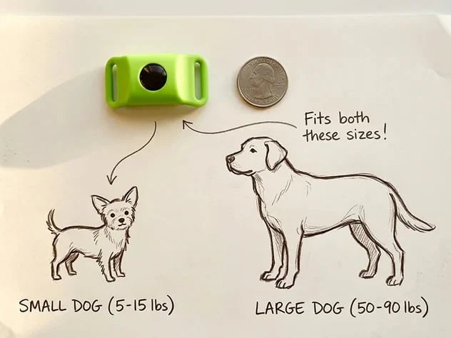 🔥 HOT SALE 🔥⏰Last Day 66% OFF-🐕12 Months Flea and Tick Free
