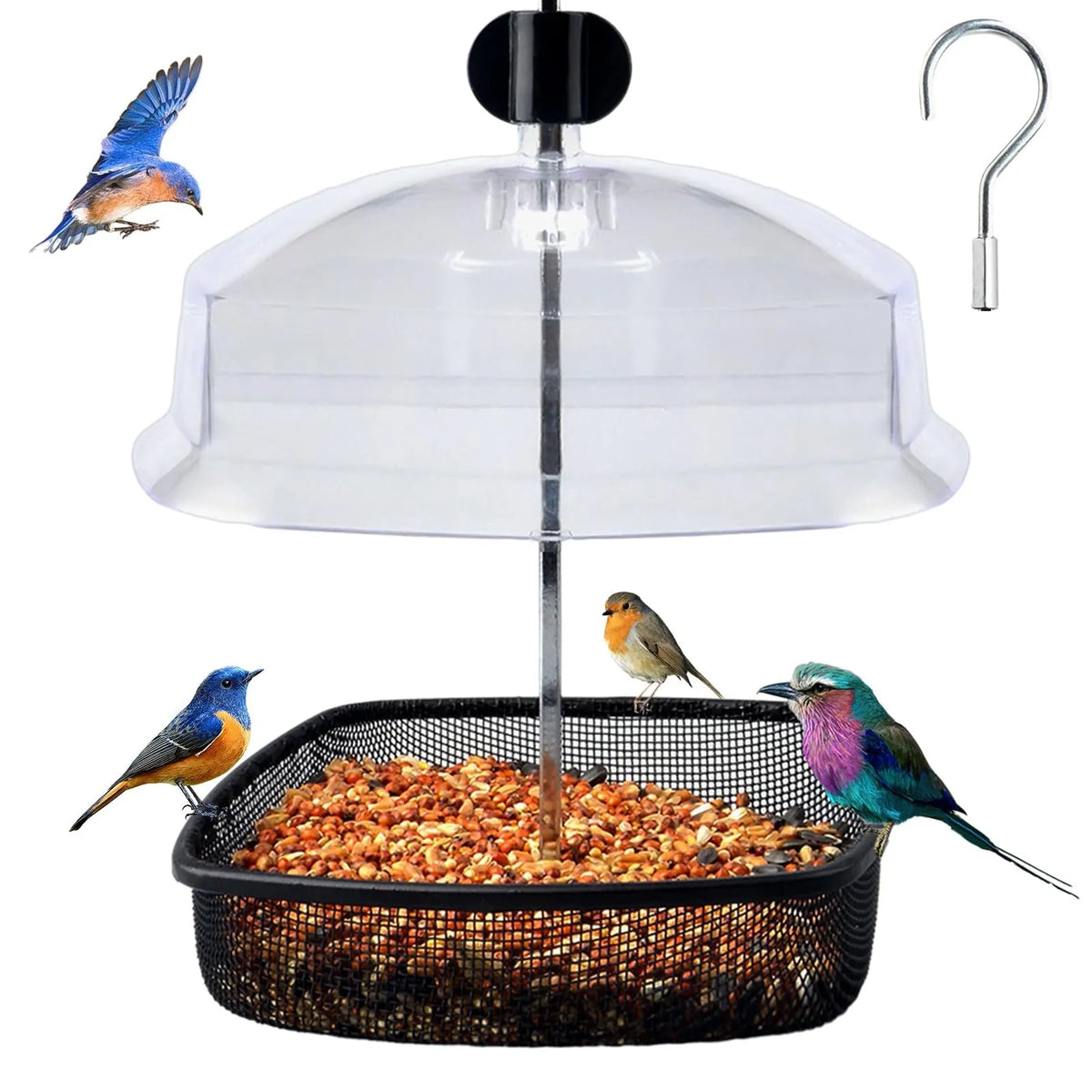 ⚡️FLASH SALE 49% OFF - Hanging Wild Bird Feeder Station