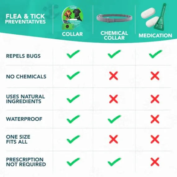 🔥 HOT SALE 🔥⏰Last Day 66% OFF-🐕12 Months Flea and Tick Free