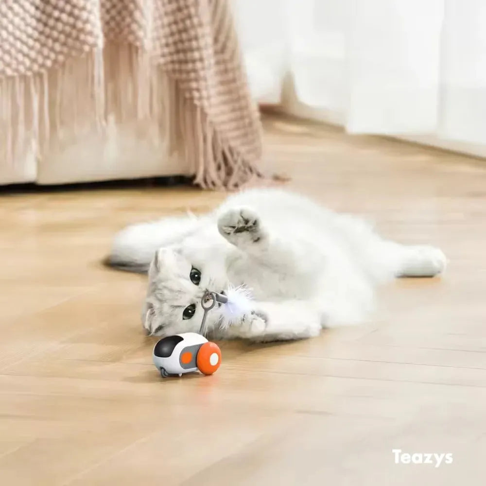 🔥LAST DAY 50% OFF - TURBO TAIL 2.0😻