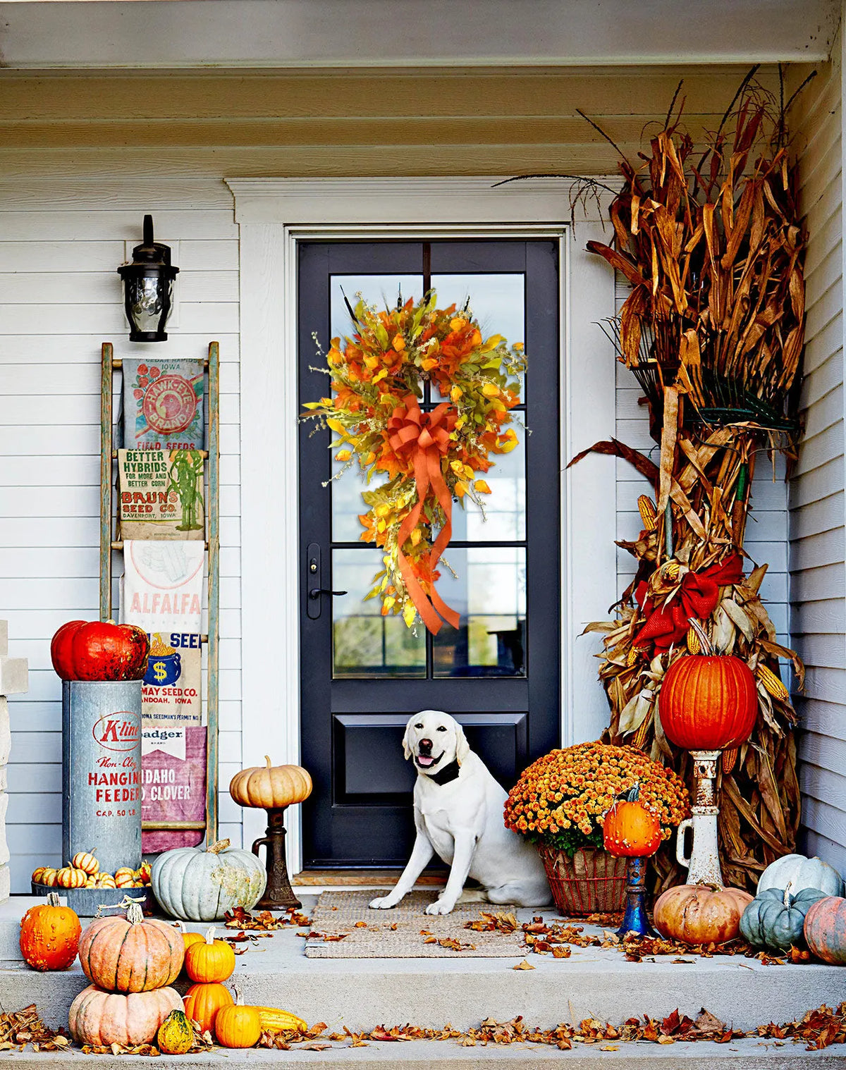 French Berries orange brown swag wreath