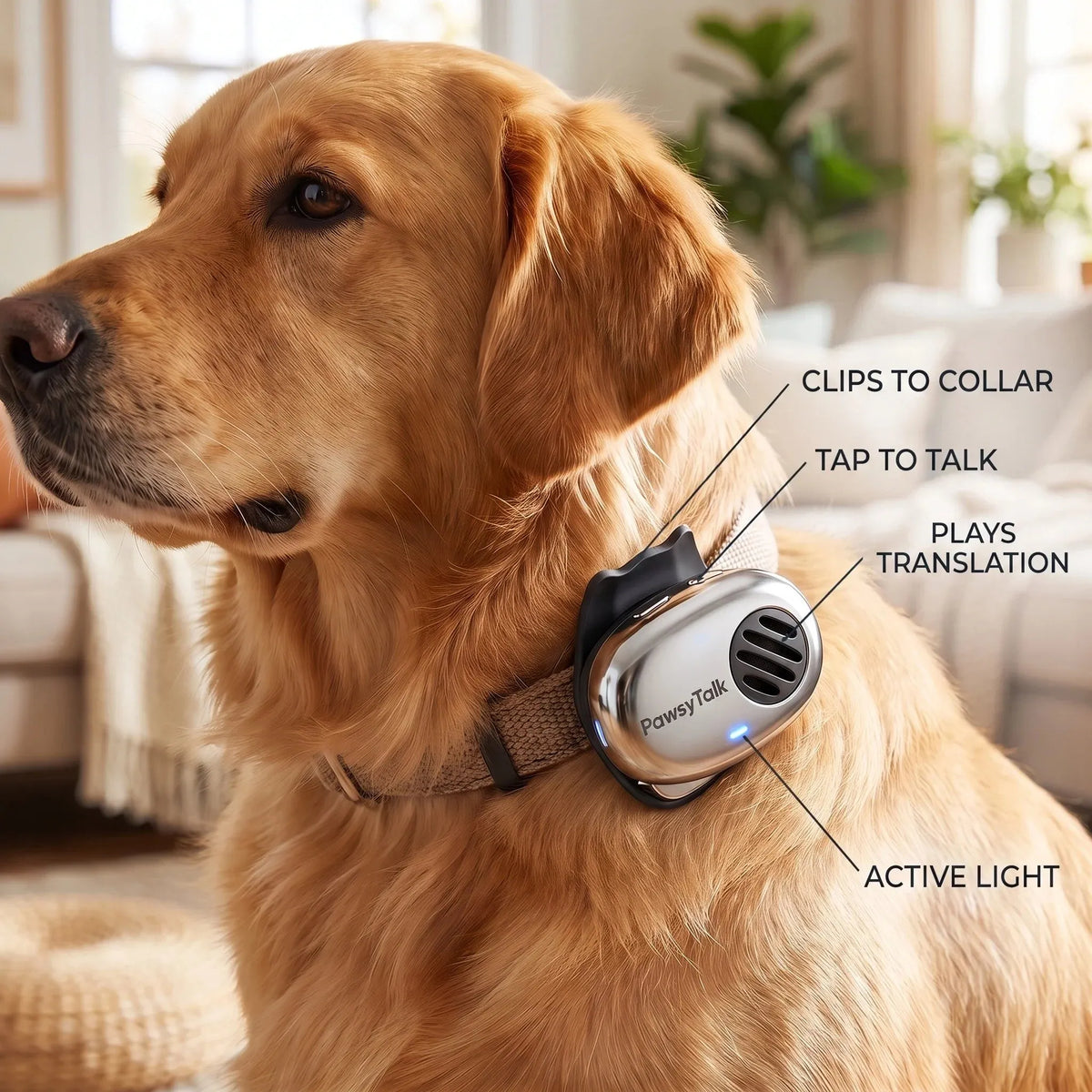 Dog Language Translator Collar Device 🐶