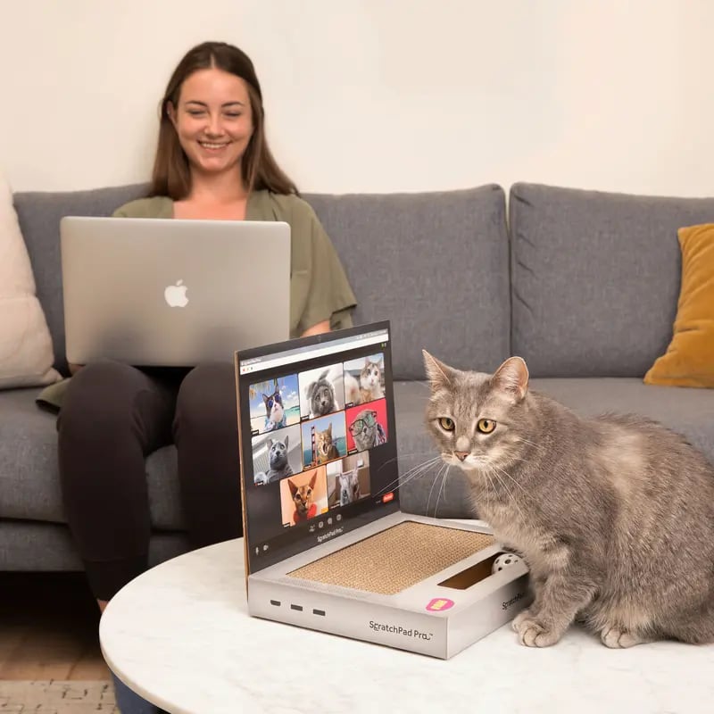 🔥HOT SALE🔥ScratchPad Pro Cardboard Laptop Cat Scratcher | Funny & Functional Cat Toy for Indoor Cats