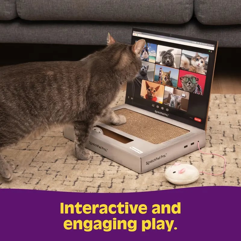 🔥HOT SALE🔥ScratchPad Pro Cardboard Laptop Cat Scratcher | Funny & Functional Cat Toy for Indoor Cats