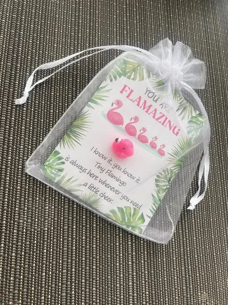 🔥Last Day 50% OFF - 🥰🦩Mini Flamingo Pocket Hug