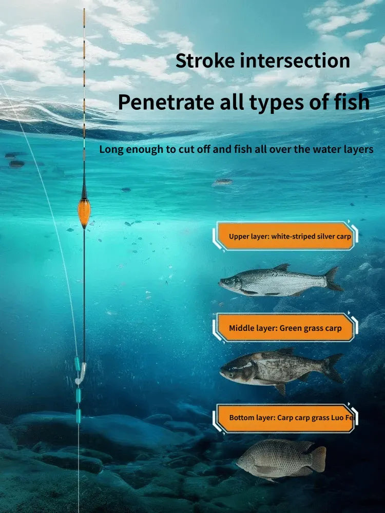 🔥LAST DAY 50% OFF - 🎣 Luminous Fishing Float – LED Lighted Bobber for Night Fishing & Enhanced Bite Detection
