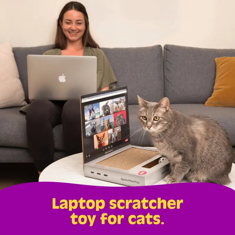 🔥HOT SALE🔥ScratchPad Pro Cardboard Laptop Cat Scratcher | Funny & Functional Cat Toy for Indoor Cats