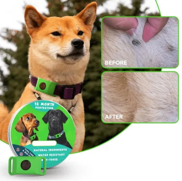 🔥 HOT SALE 🔥⏰Last Day 66% OFF-🐕12 Months Flea and Tick Free