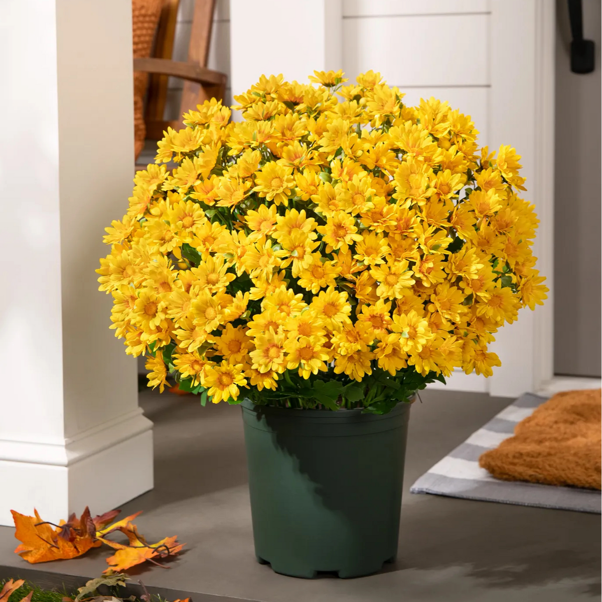 Artificial Outdoor Sunset Mums Flowers-UV resistant, Waterproof, Windproof