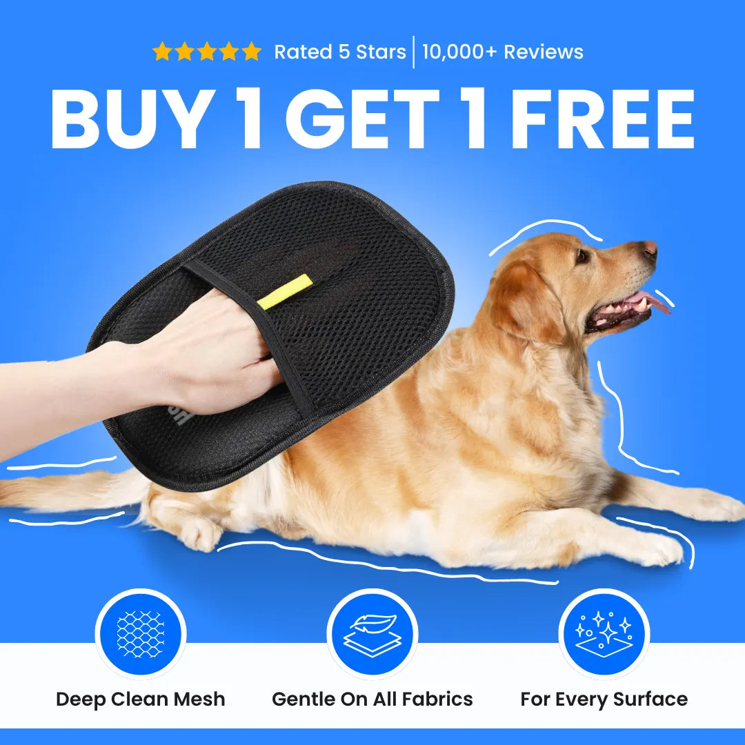 Magic Cleaning Gloves