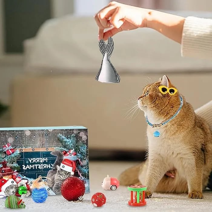 🔥Last 48 hours 57% OFF - 🐱Christmas Countdown Cat Toys Advent Calendar
