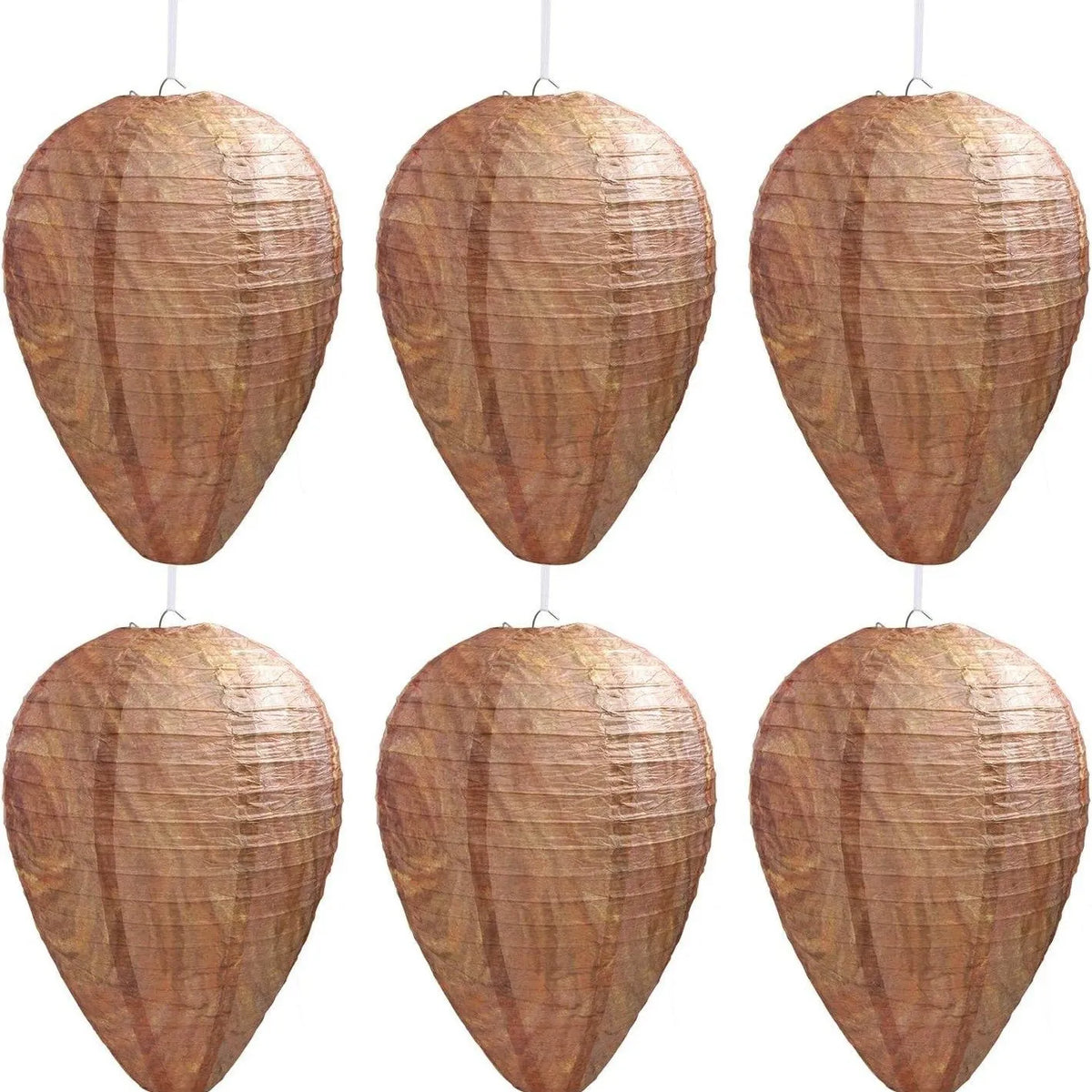 🔥Last 4 hours Sale: Save 49%-🐝Natural Wasp Deterrent Hive