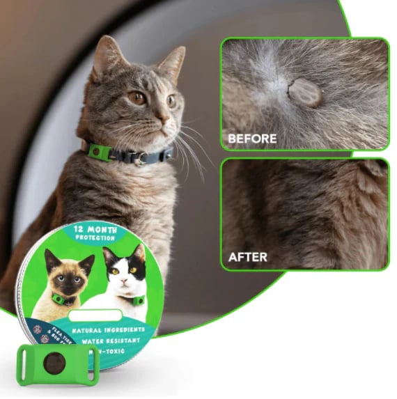 🔥 HOT SALE 🔥⏰Last Day 66% OFF-🐕12 Months Flea and Tick Free