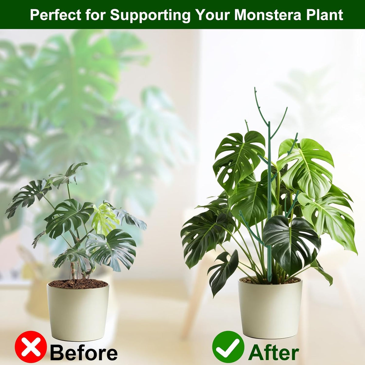 🎉🌱 Adjustable Climbing Plant Stakes – Natural‐Look, Tool‐Free Support for Indoor & Outdoor Vertical Growth