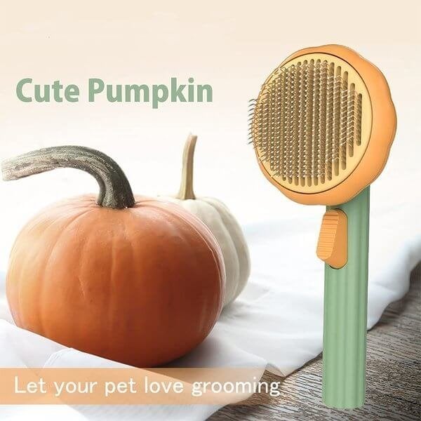 🎉Get 49% OFF🐈Pumpkin Pet Comb