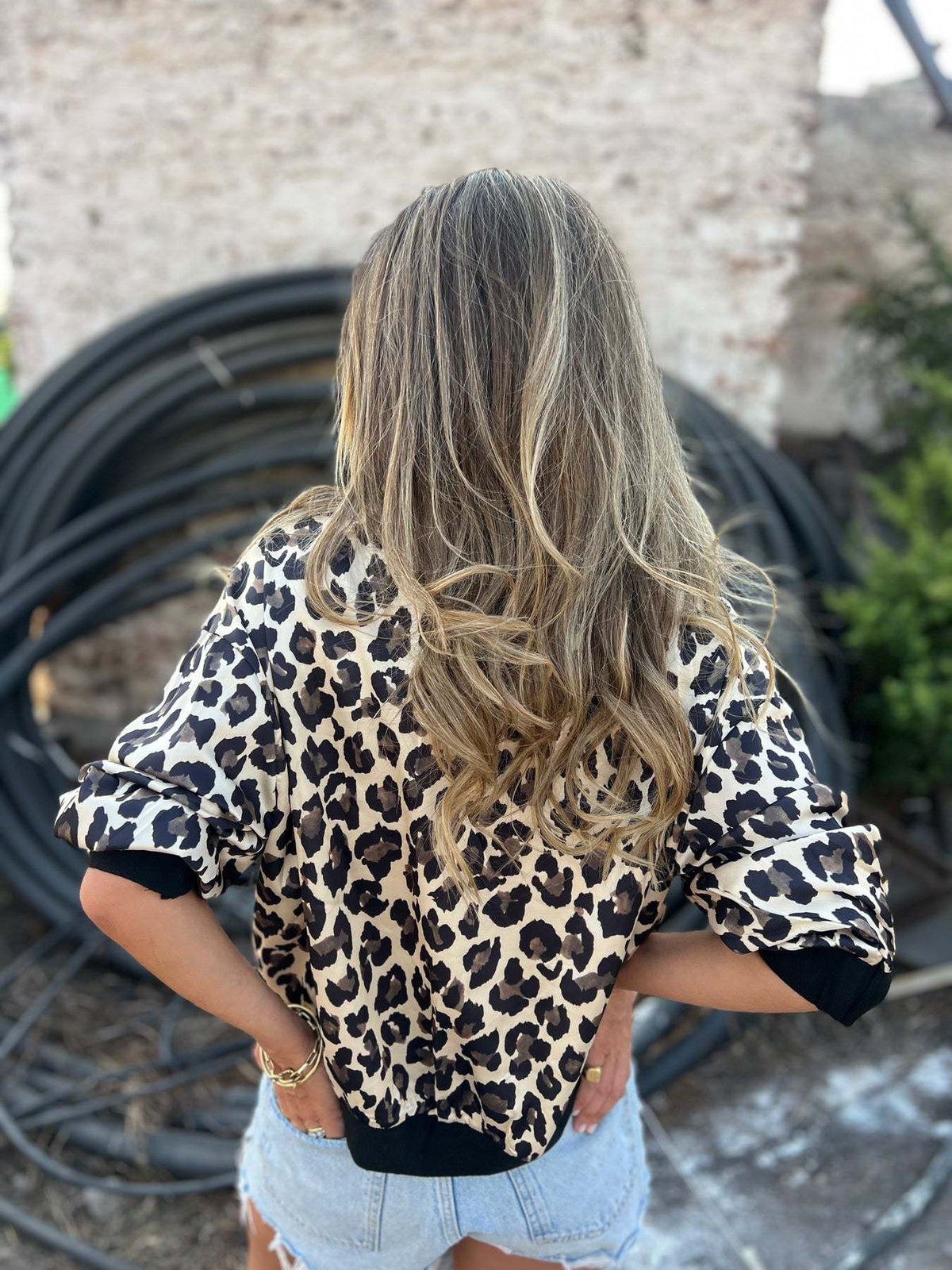 Deep V-Neck Button Leopard Print Color-Block Long Sleeve Top