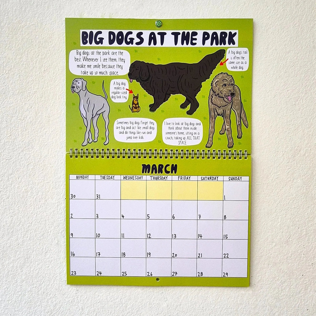 🔥Last Day 49% OFF - 🐶2026 Dog Park Calendar