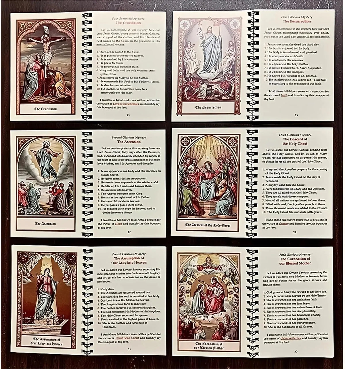 🔥HOT SALE🔥Pocket Size Rosary Meditation Book✝️The Rosary The Prayer That Saved My Life