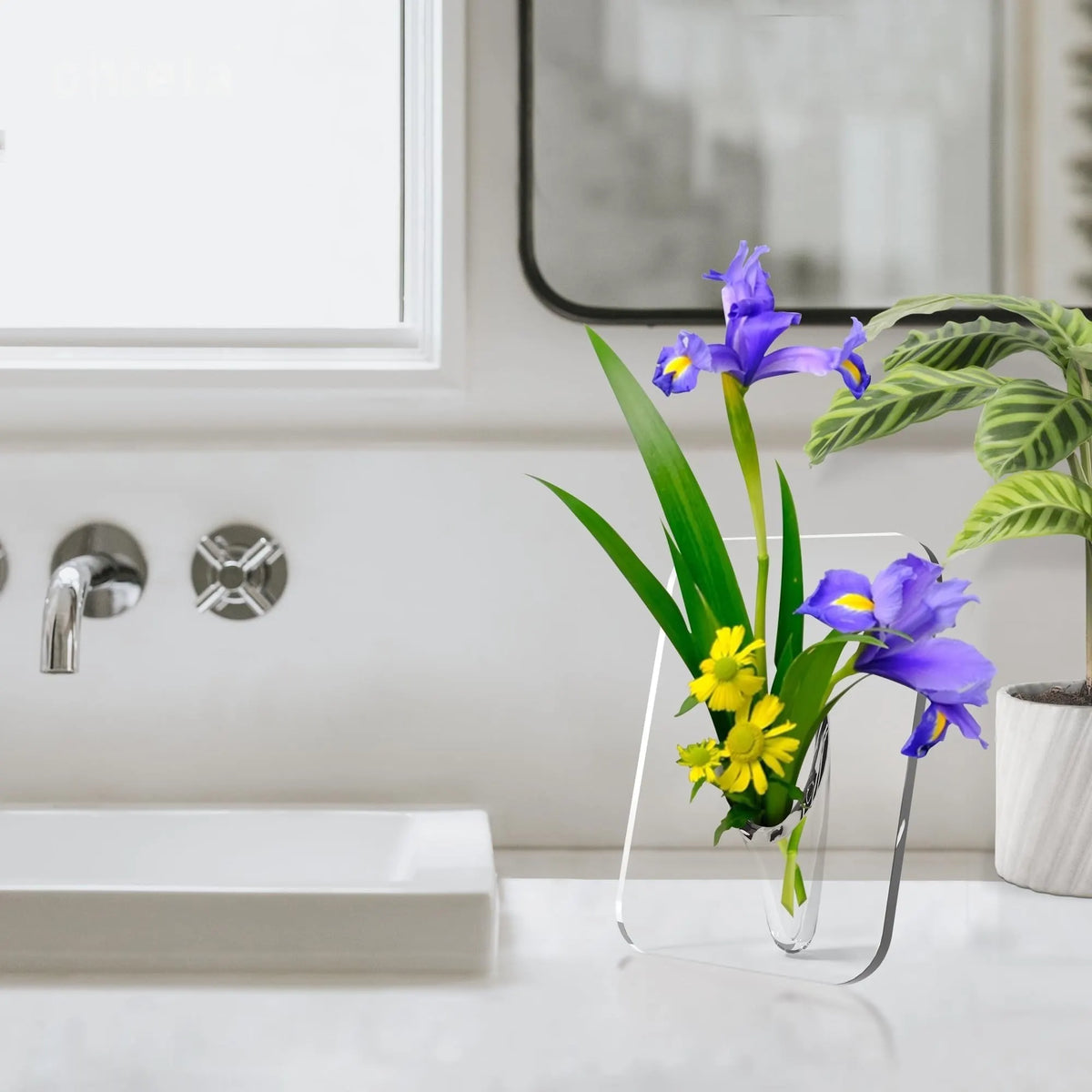 🎉Photo Frame Shaped Clear Acrylic Flower Vase