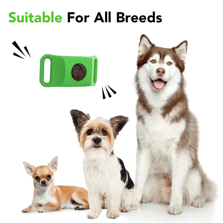 🔥 HOT SALE 🔥⏰Last Day 66% OFF-🐕12 Months Flea and Tick Free
