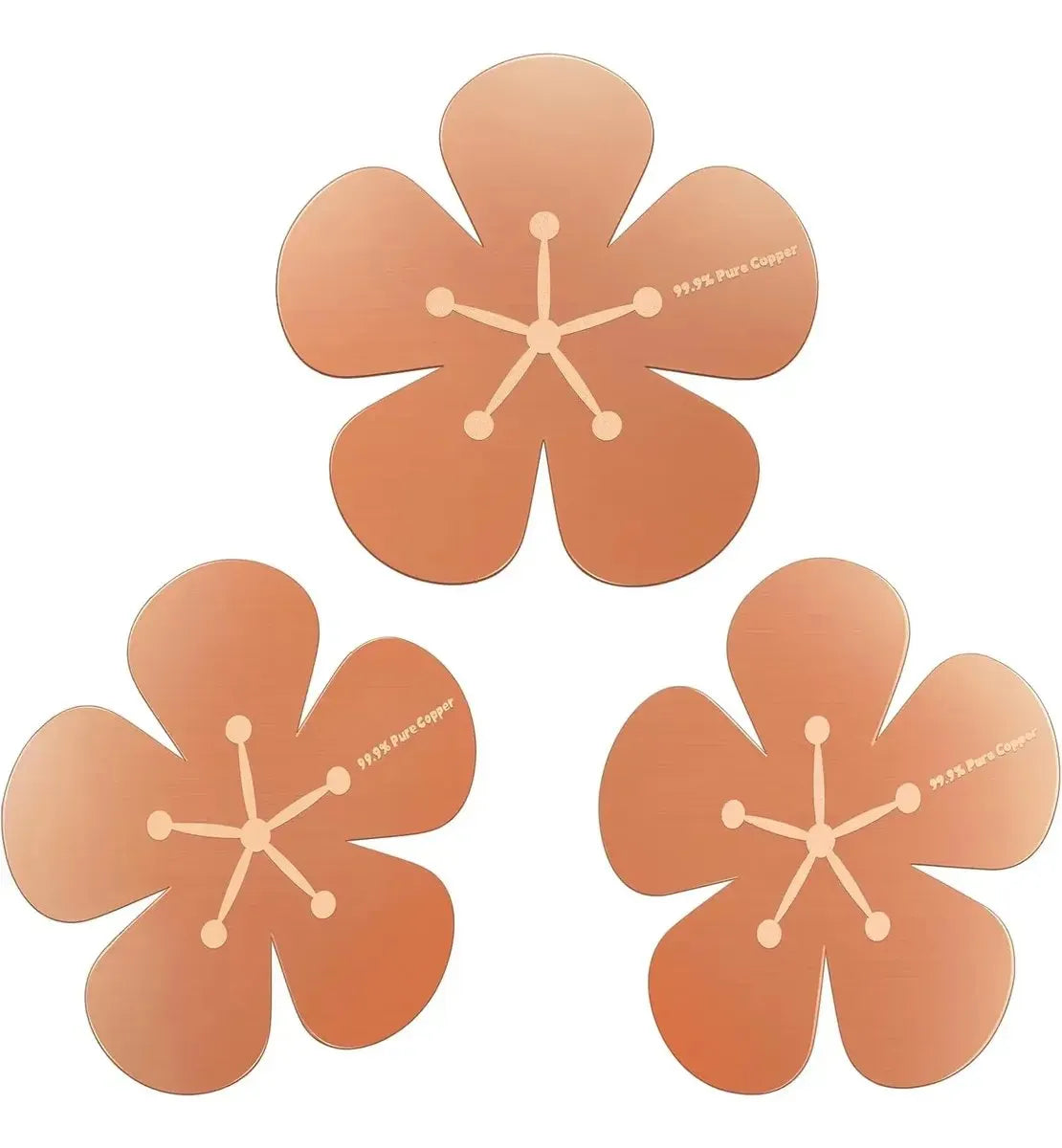🔥HOT SALE🔥3Pcs Bird Bath Copper Purification Disk