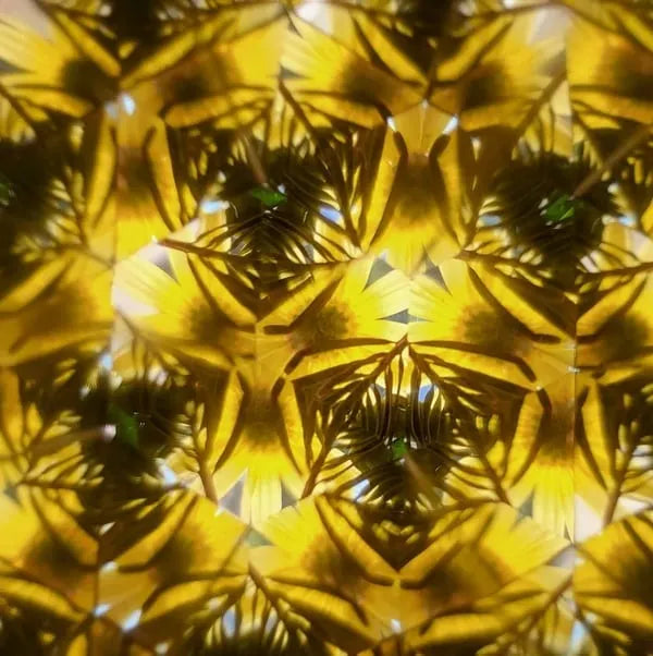 Magical Wooden Optical Toy
