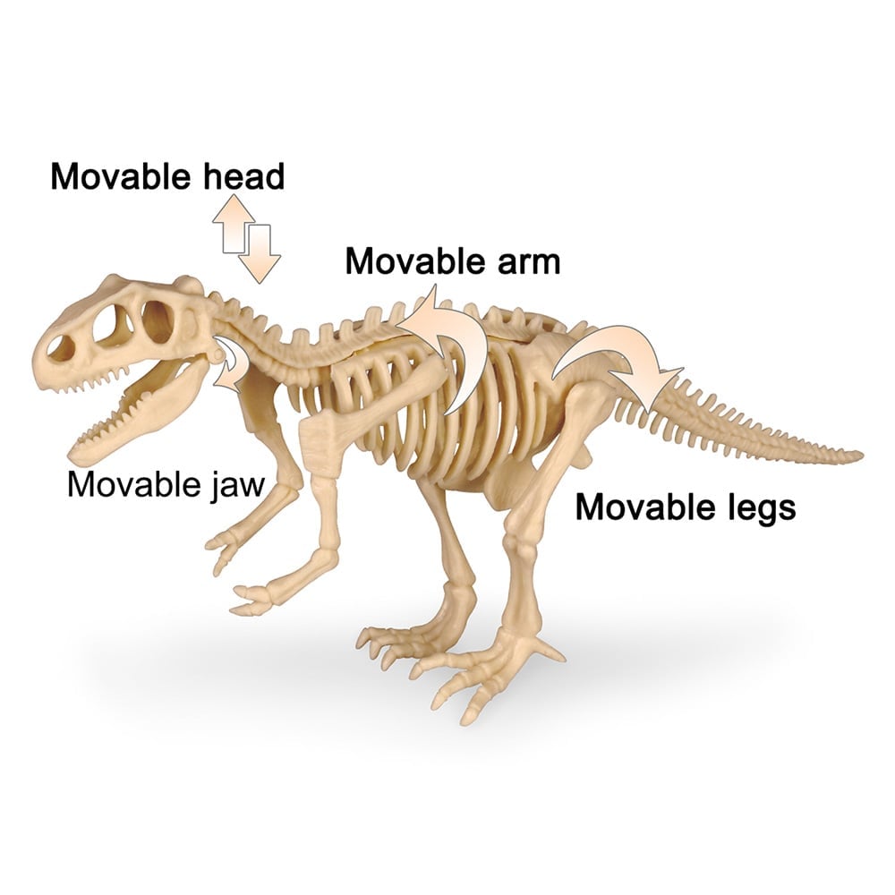 Great Educational Toy for Kids🎁New Arrival Dinosaur Fossil Digging Kit