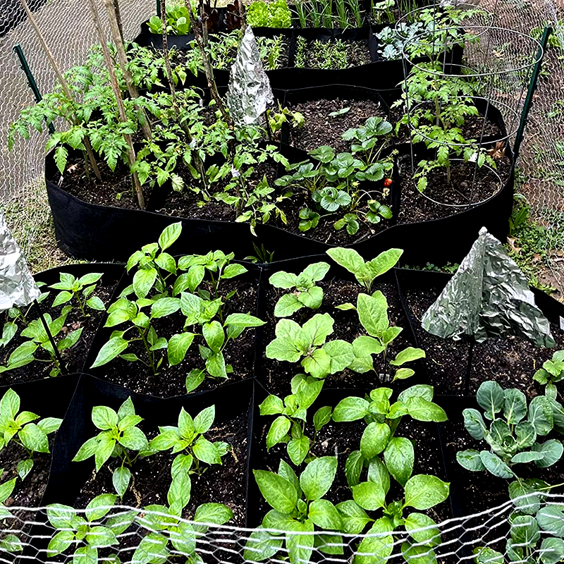 ⏳Limited-time 50% off⏰Divided Fabric Grow Bags for Plants🌱