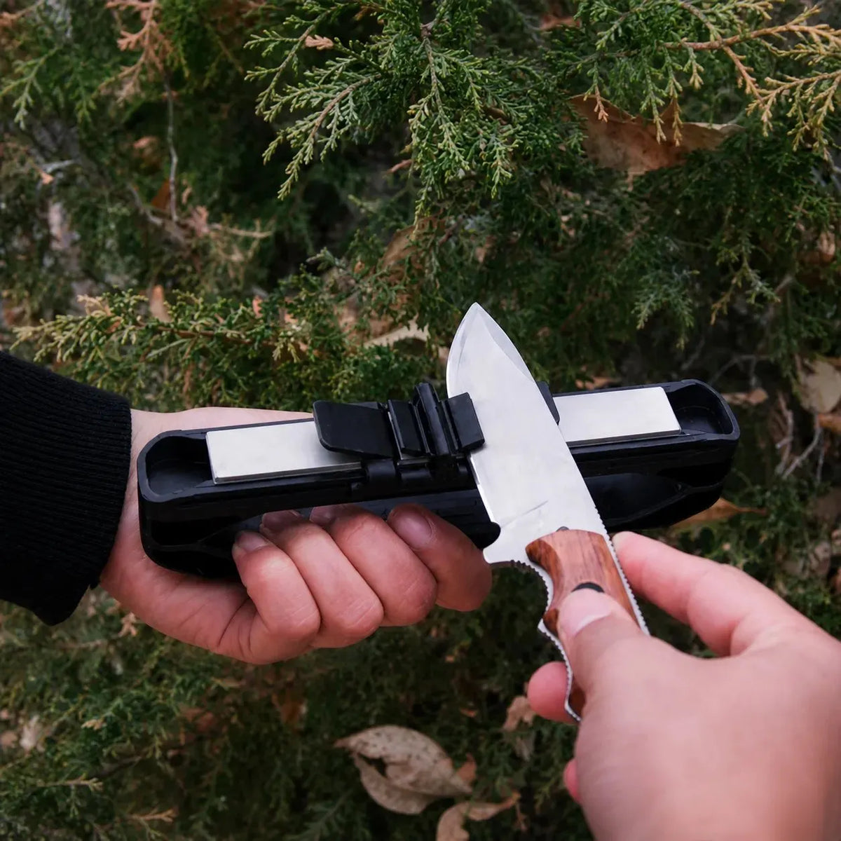 🔥 HOT SALE 🔥🛠️🔪Venture Portable Knife Sharpener