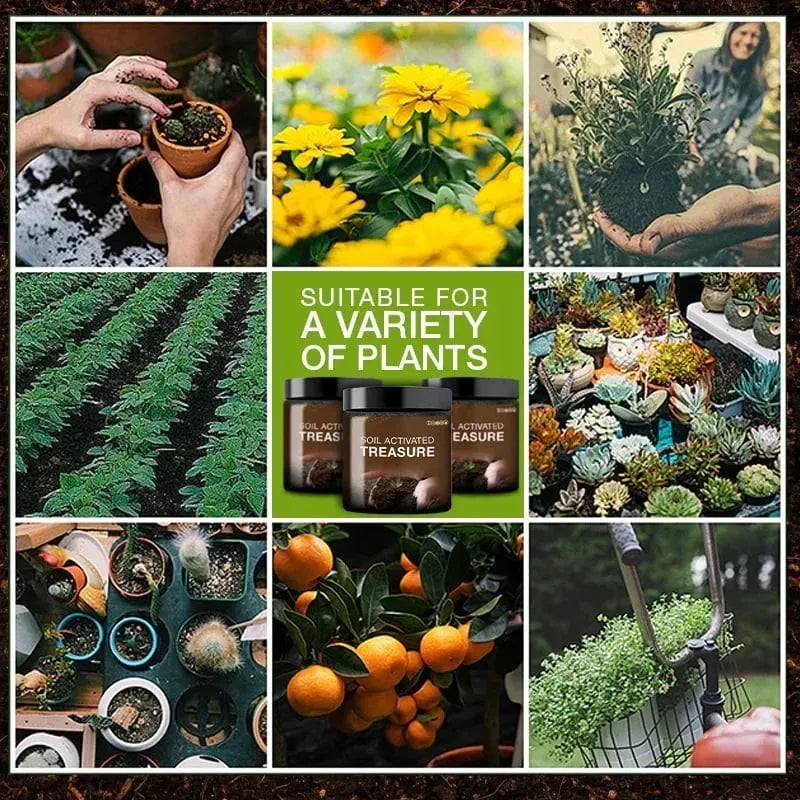 Soil Activated Treasure-You Will Be Amazed (BUY 5 GET 3FREE And FREE SHIPPING)